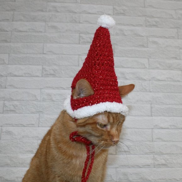 HAND CRAFTED Crochet Santa Cat Pet Hat Costume Photo Prop Christmas Holiday - Picture 5 of 11